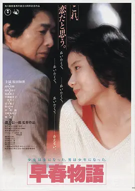 高清电影《雾港回声》海报